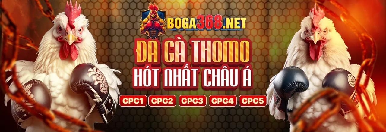 Đá gà trực tuyến f168vip app